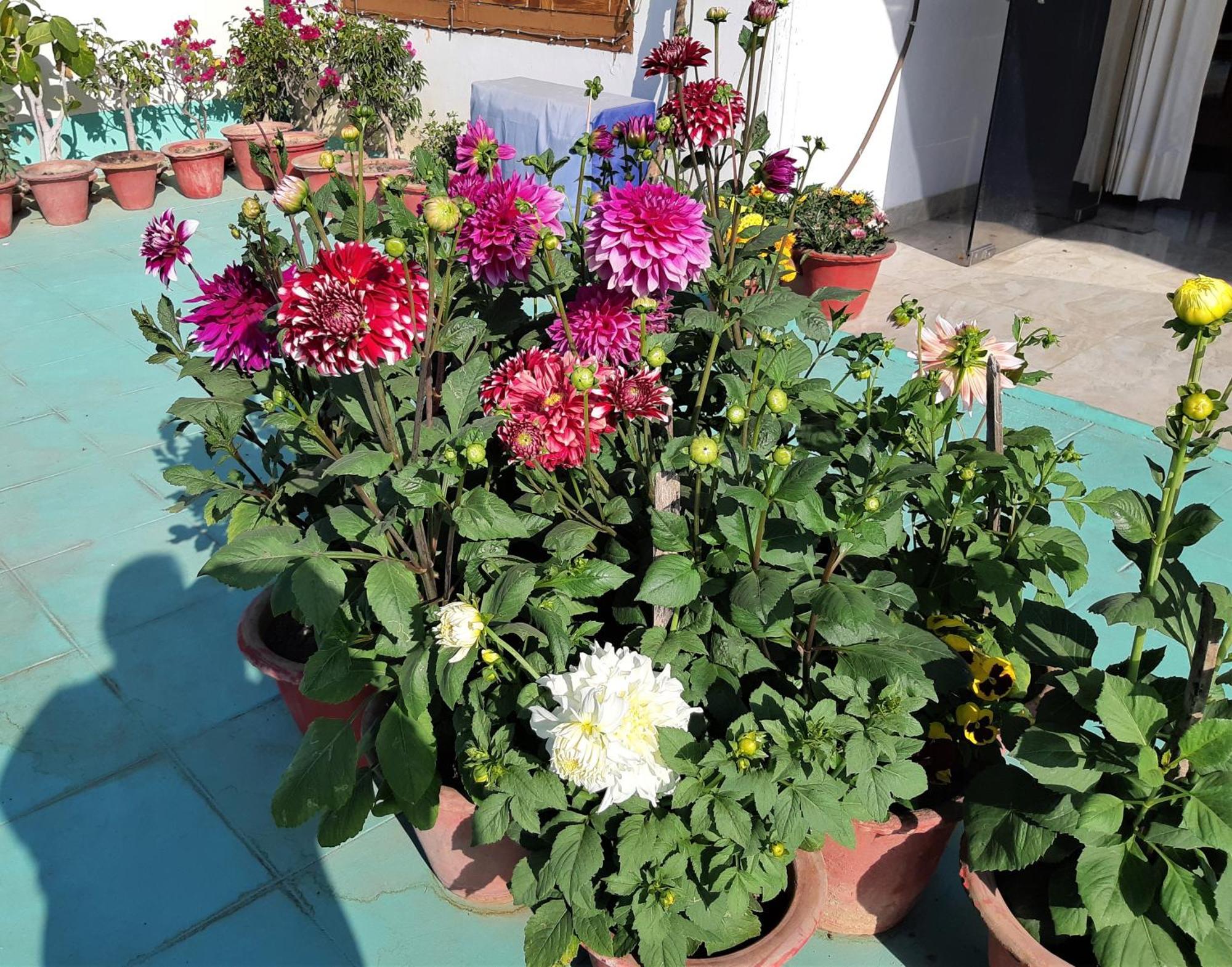 Fully Furnished Ish, Atithya Homestay With Various Amenities And Free Services In Lucknow, India Exteriér fotografie