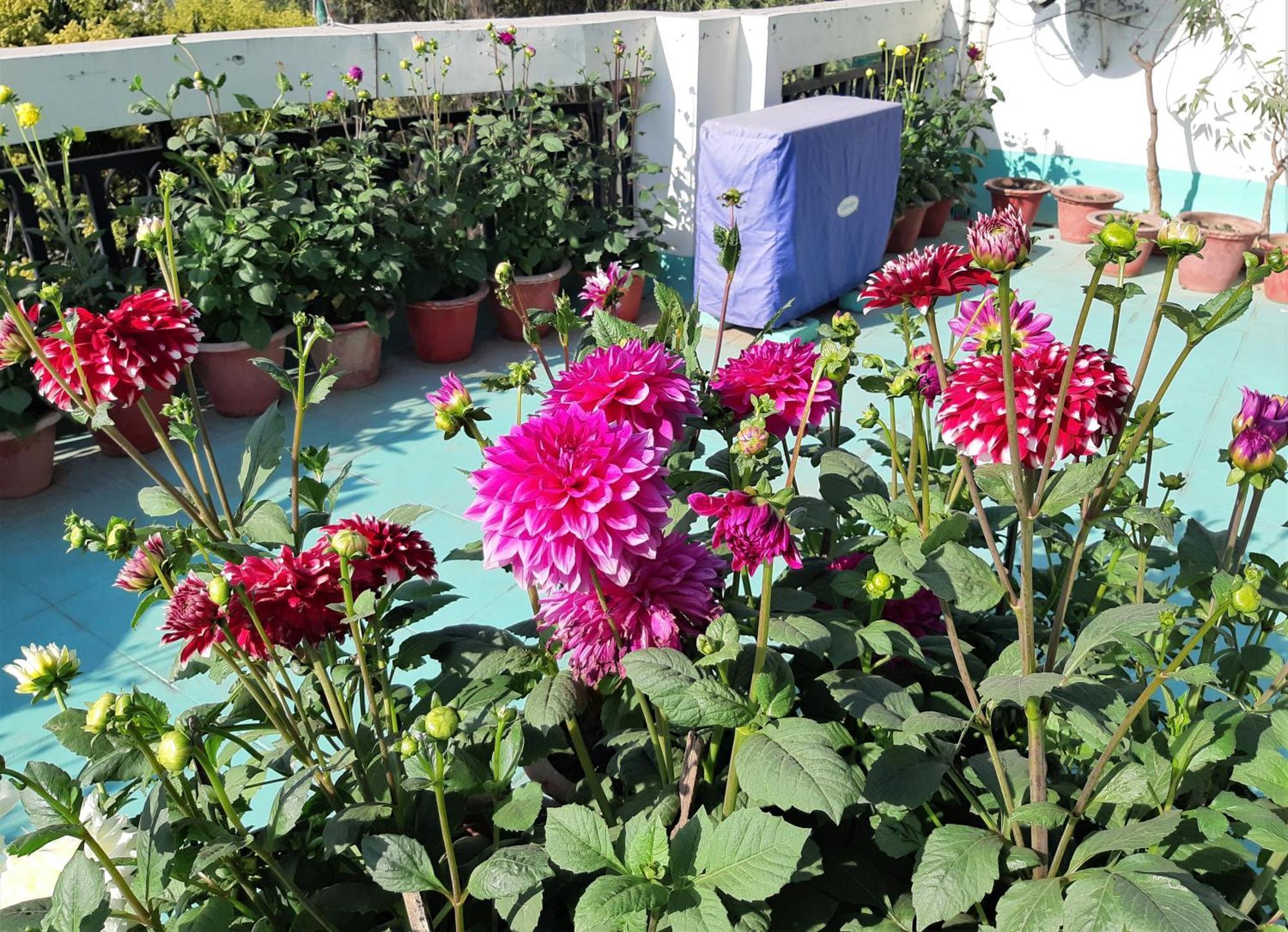 Fully Furnished Ish, Atithya Homestay With Various Amenities And Free Services In Lucknow, India Exteriér fotografie