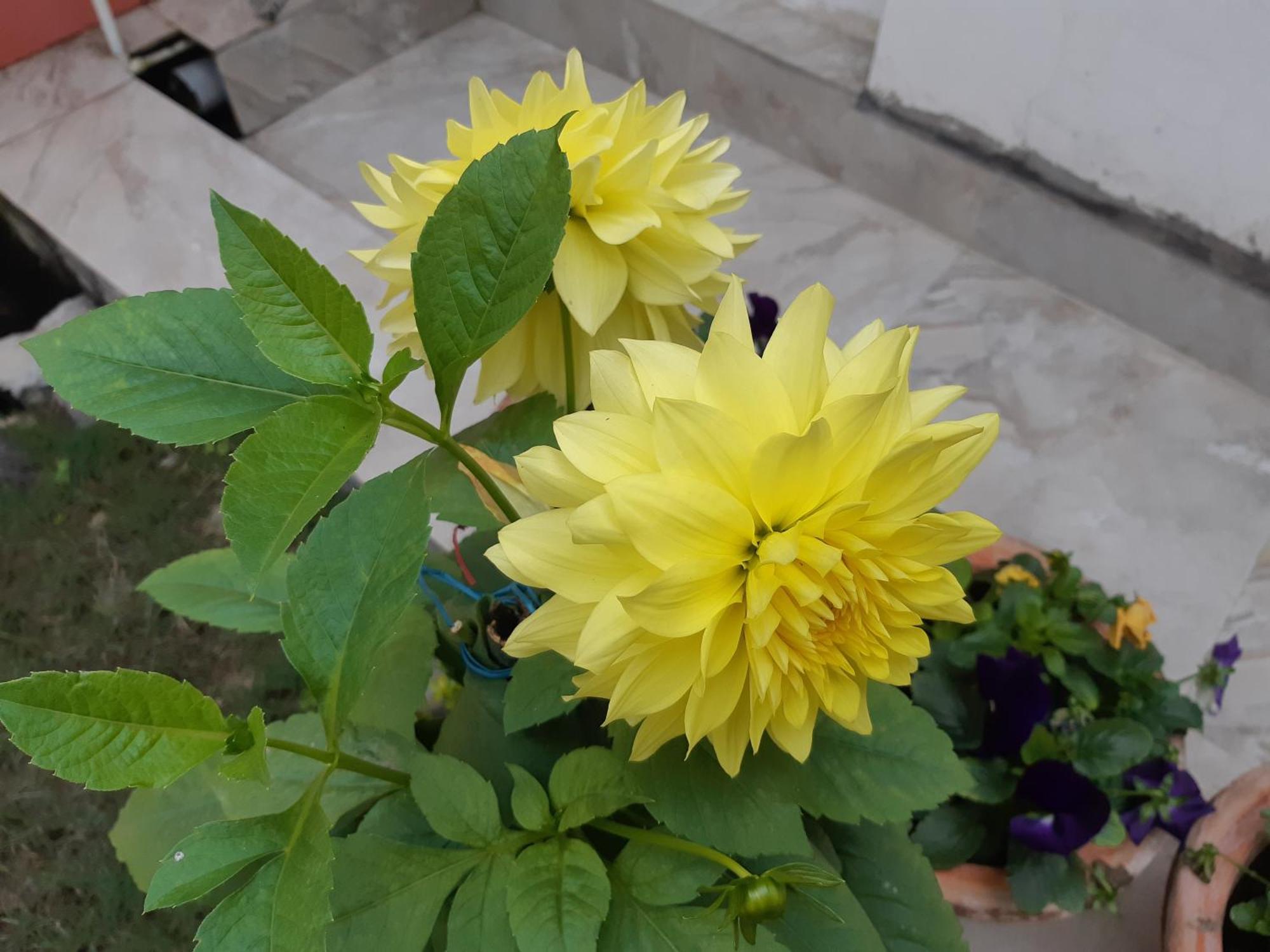 Fully Furnished Ish, Atithya Homestay With Various Amenities And Free Services In Lucknow, India Exteriér fotografie